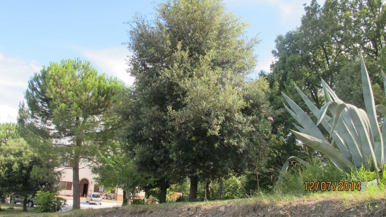 Locanda San Marino Al Coppo Monte Grimano Terme Exteriör bild
