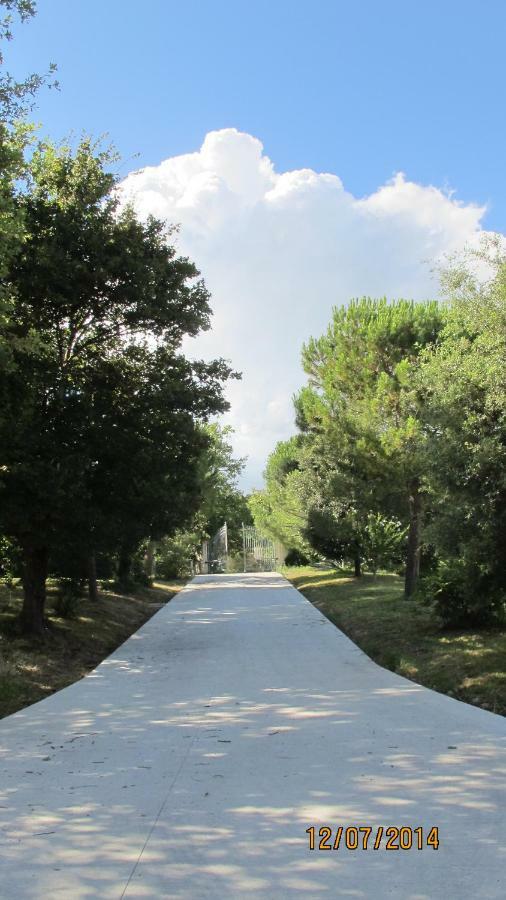 Locanda San Marino Al Coppo Monte Grimano Terme Exteriör bild